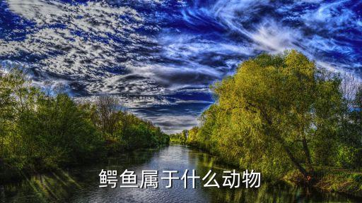 鳄鱼是爬行动物吗，请问鳄鱼是两栖动物还是爬行动物