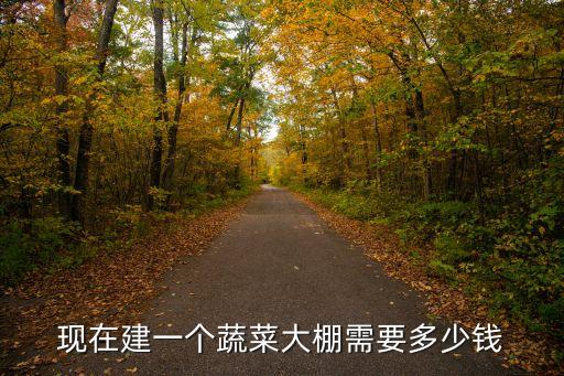 现在建一个蔬菜大棚需要多少钱
