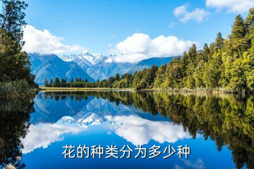 各种各样的花，花的种类分为多少种
