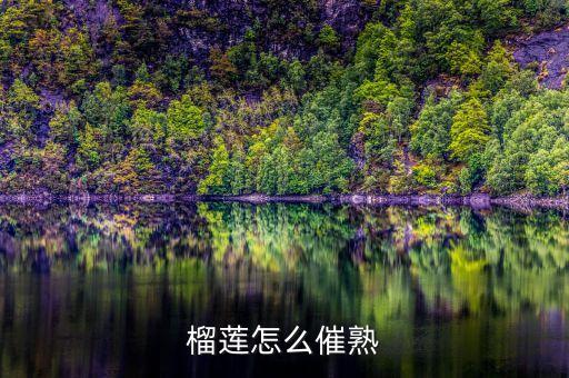 榴莲怎么催熟