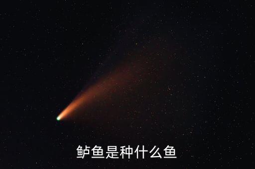 鲈鱼是种什么鱼