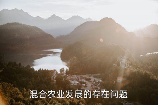 混合农业发展的存在问题