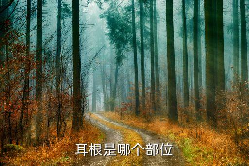 耳根在哪个位置图片，耳根是耳朵的哪个位置