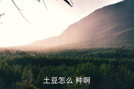 土豆怎么种，土豆怎么 种啊