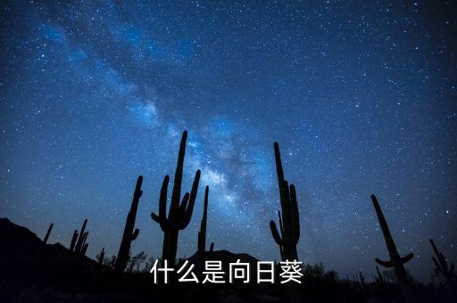 向日葵向日葵，什么是向日葵