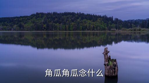 角瓜角瓜念什么