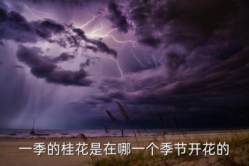 桂花几月开花，桂花甚么季节开