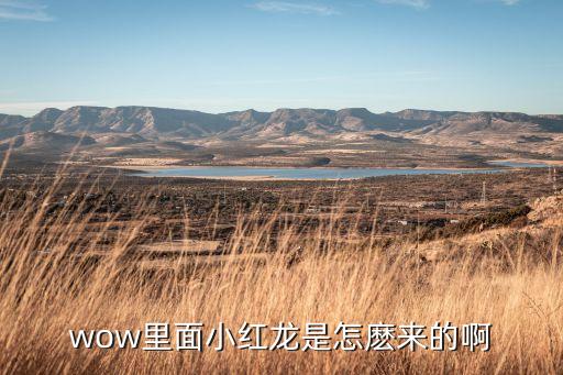 wow里面小红龙是怎麽来的啊