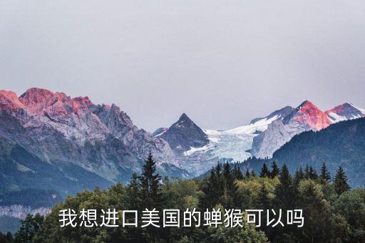我想进口美国的蝉猴可以吗