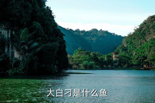 大白刁是什么鱼