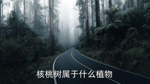 核桃树属于什么植物