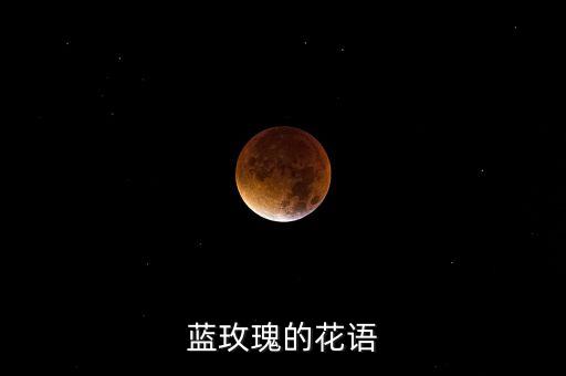蓝玫瑰花语，蓝玫瑰有那些花语