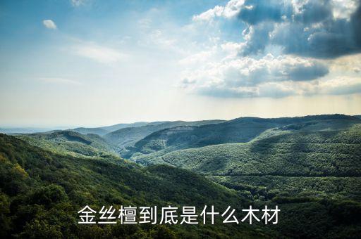 金丝檀木，金丝檀到底是什么木材