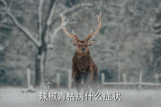辣椒青枯病，辣椒根腐病与青枯病怎样防治