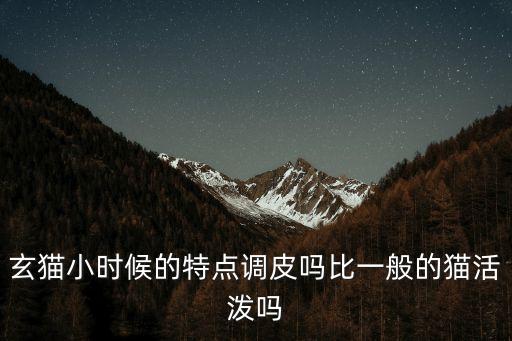 玄猫，关于玄猫的知识