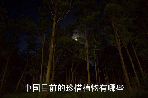 国家保护植物，一些国家保护植物有哪些