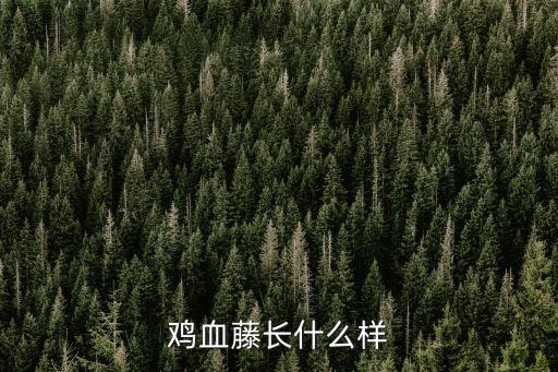 鸡血藤长什么样