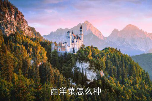 西洋菜怎么种