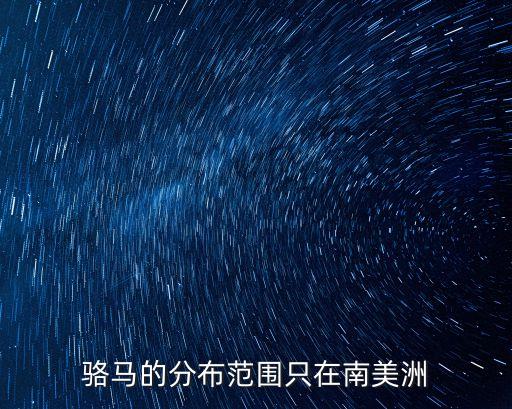 骆马的分布范围只在南美洲