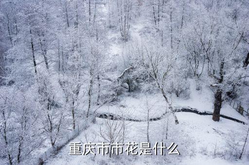 重庆市市花是什么