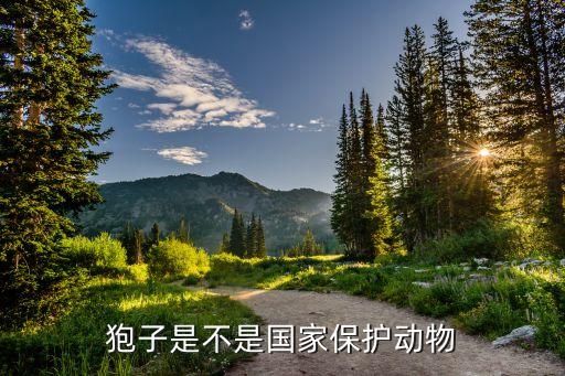 狍子是不是国家保护动物
