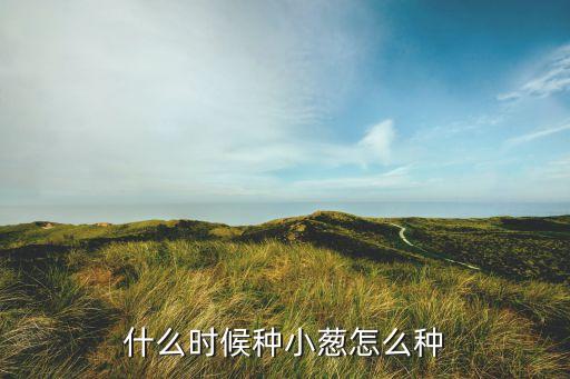 什么时候种小葱怎么种