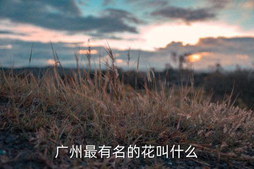 广州木棉花，广州最有名的花叫什么