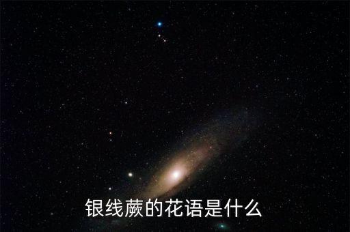 银线蕨，银线蕨的花语是什么
