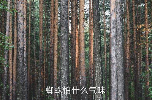 蜘蛛最怕什么气味，蜘蛛怕什么味道