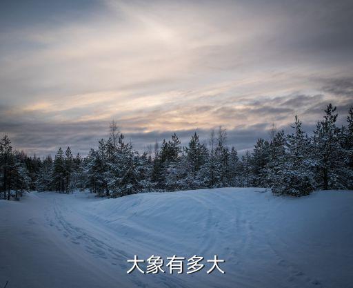 大象怀孕多久生产，大象什么时候生孩子