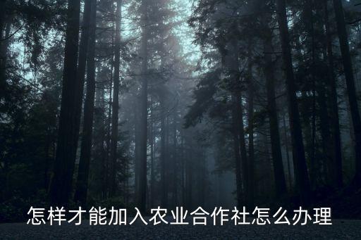 怎么样加盟农业，怎样才能加入农业合作社怎么办理