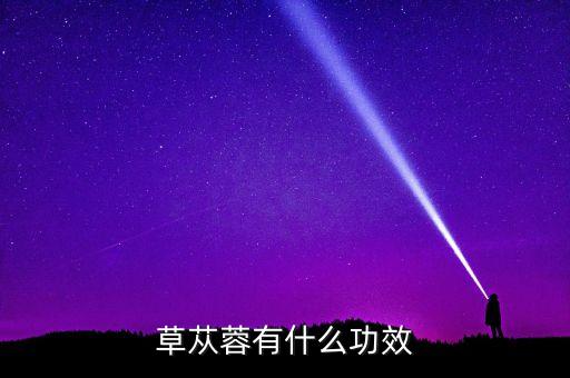 草苁蓉，苁蓉是什么