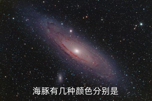 海豚有几种颜色分别是