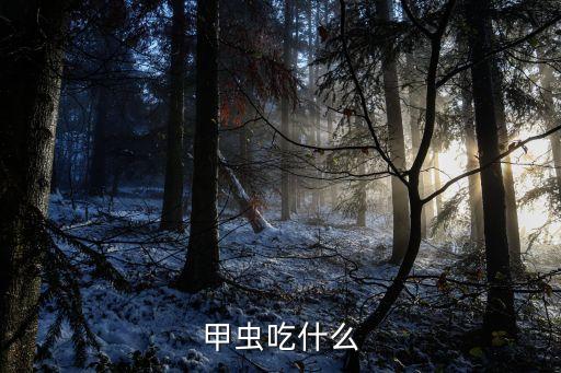 甲壳虫吃什么，甲虫吃什么