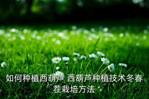 葫芦怎么种，西葫芦怎么种一次种几个种子
