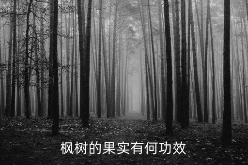 枫树的果实有何功效