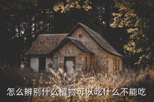 怎么辨别什么植物可以吃什么不能吃