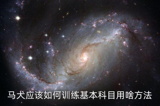 怎么训练马犬，马犬应该如何训练基本科目用啥方法