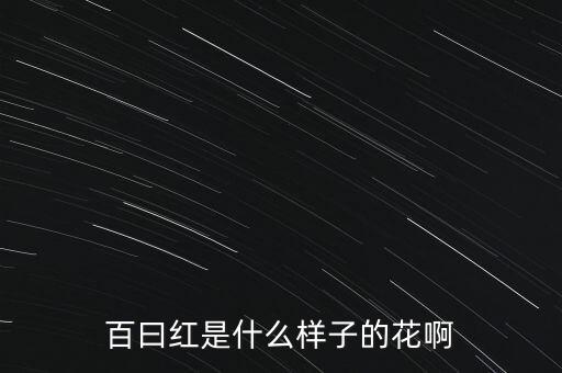 百日红，百日红是一种什么花
