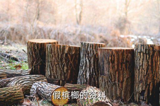 假槟榔，假槟榔的资料
