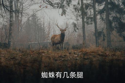 蜘蛛有几条腿，蜘蛛有几条腿