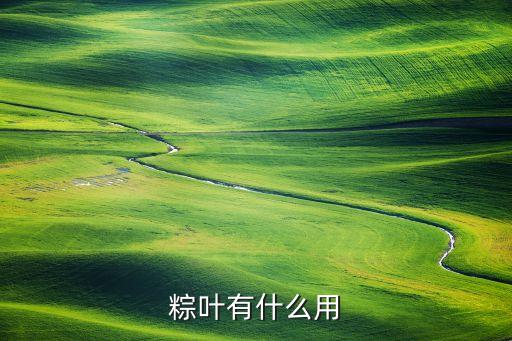 粽叶有什么用