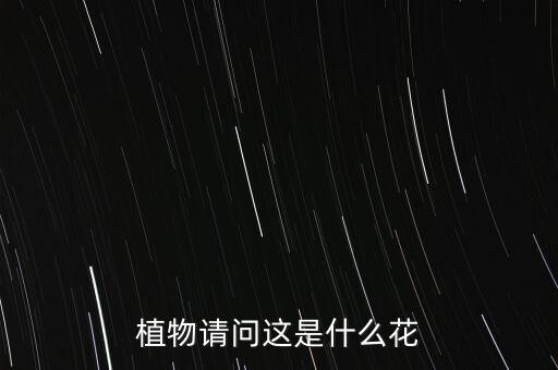石腊红，有人知道这是什么花么