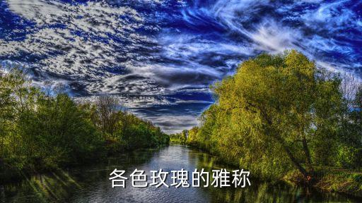 玫瑰的别称，玫瑰的别名
