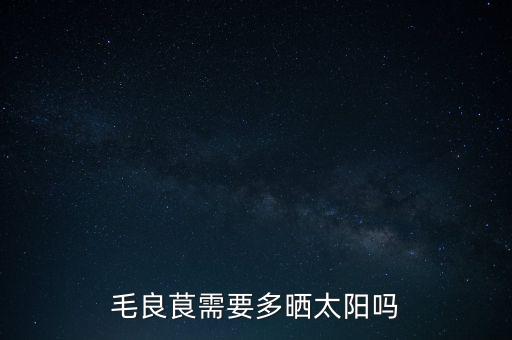 毛良茛需要多晒太阳吗