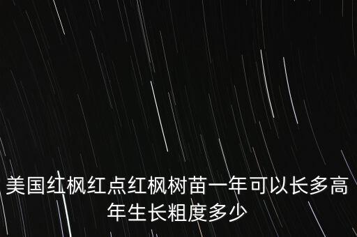 红枫树苗，红枫怎么插苗