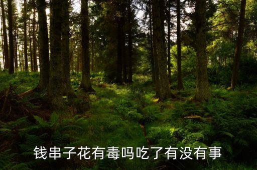 钱串子有毒吗，钱串子花有毒吗吃了有没有事