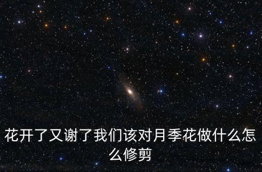 花开了又谢了我们该对月季花做什么怎么修剪