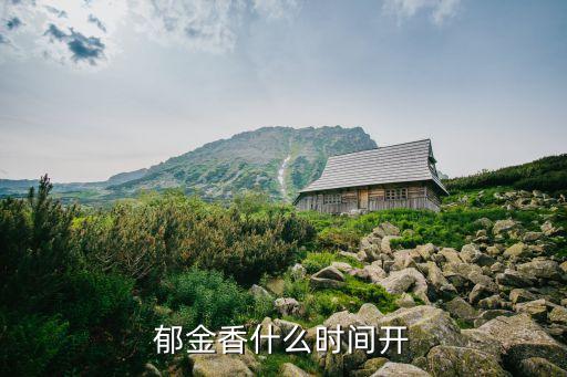 郁金香什么时候开花，郁金香什么时间开