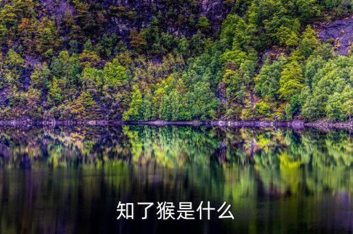 知了猴是什么
